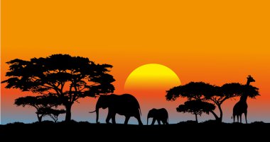 African savanna vector African savanna vector