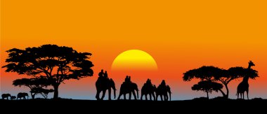 Afrika savana
