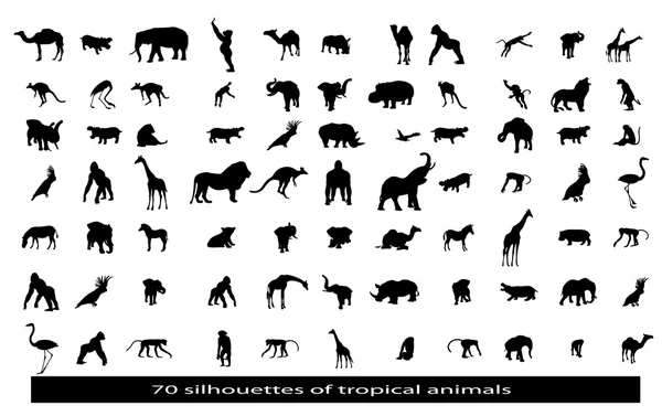70 silhouettes of the African animals — Stock Vector