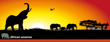 Afrika savana