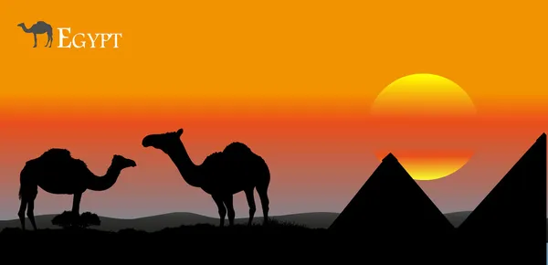 Egyptische landschap — Stockvector