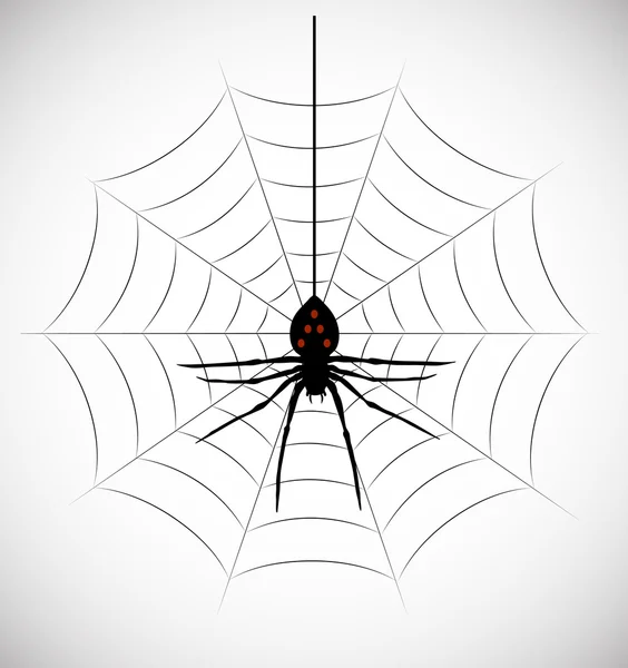 Spider in the web — Stock Vector