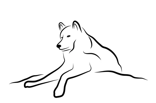 一只狼在白色背景上的剪影 — 图库矢量图片