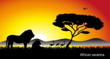 Afrika savana peyzaj