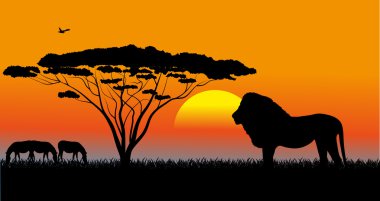 Afrika savana bir akşam peyzaj