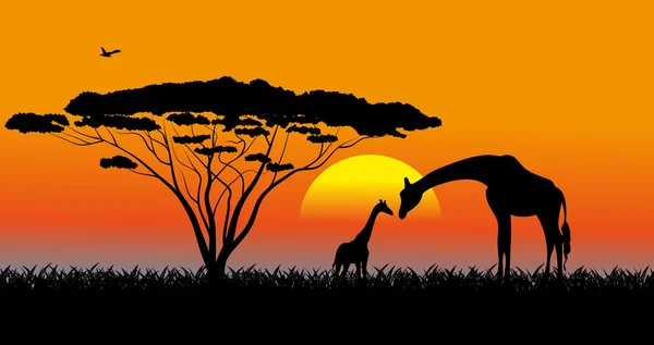 Savana africana un paesaggio serale — Vettoriale Stock