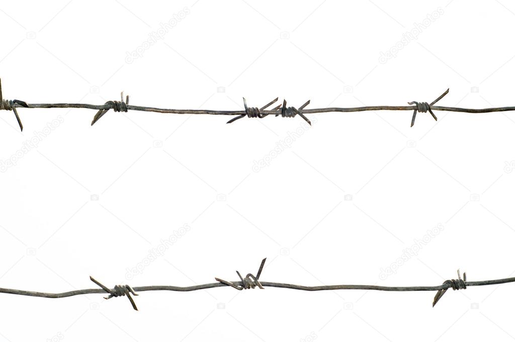 barbed wires fence