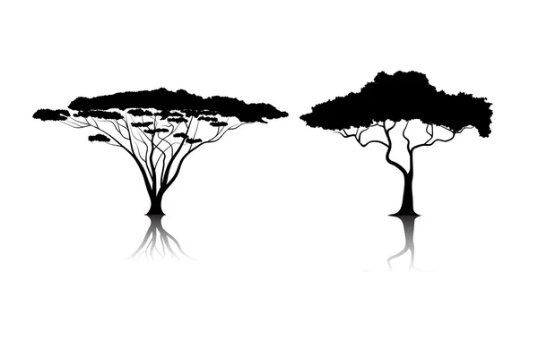 Σιλουέτες των Τροπικά φρουτόδεντρα — Διανυσματικό Αρχείο