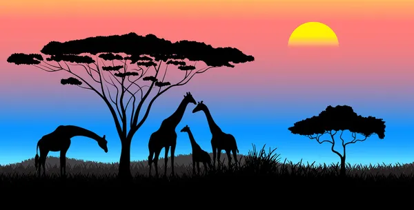 La sabana africana el paisaje de tarde — Vector de stock