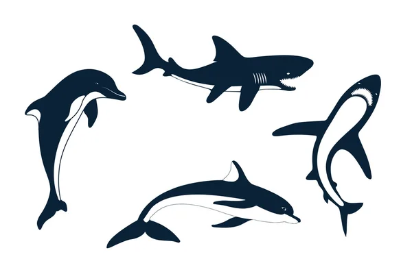 Silhouette of marine mammals — Stock Vector