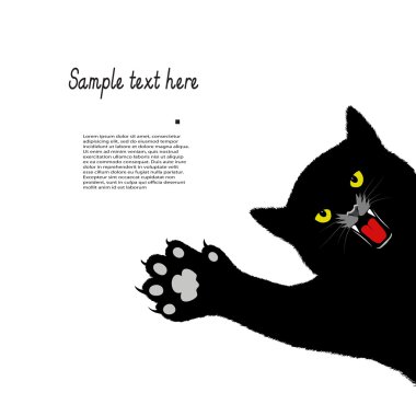 oynayan kedi