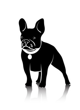 Dövüş doğurmak köpek