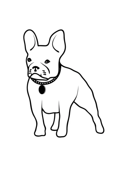 Perro de raza peleadora — Vector de stock