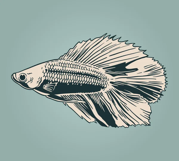 矢量老式鱼 — 图库矢量图片