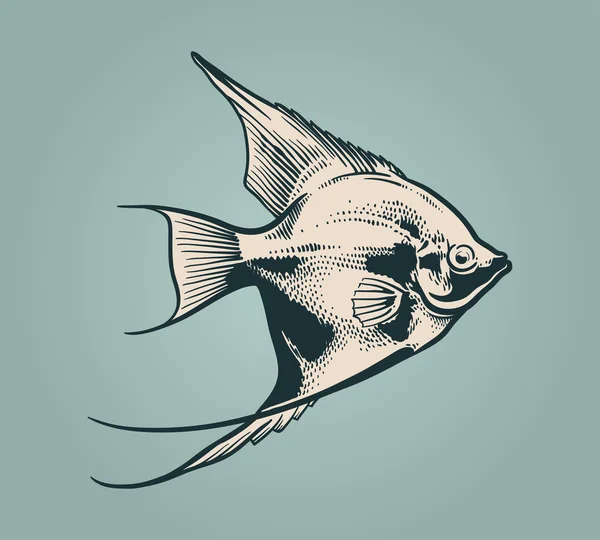 Vektor Vintage Illustration von Fisch — Stockvektor