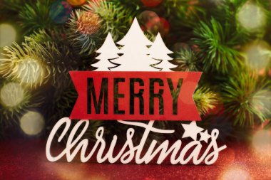 Kar ve kağıt kağıtlarla dolu Noel ağacı dalları. Düz yatıyordu. Doğa Yeni Yıl Konsepti.