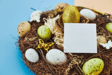 Paskalya yumurtaları, kurdeleler ve yuvaları mavi-sarı arka plan model kartında bitkilerle birlikte. davet kartı ile