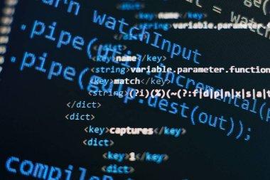 Yazılım geliştirme. İnternet güvenlik korsanı önlemi. Seo optimizasyonu. Modern teknoloji.