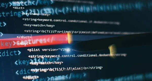 概要コンピュータスクリプトコード ソフトウェア開発者のプログラミングコード画面 ソフトウェアプログラミング作業時間 — ストック写真