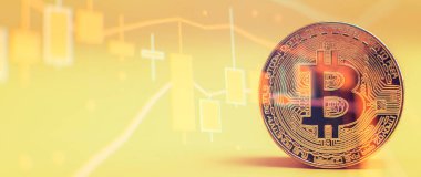 Bitcoin küresel ekonomi piyasasında uygun bir ödemedir. Sanal dijital para birimi ve finansal yatırım ticaret kavramı.