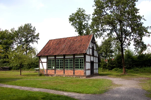 Park museum i cloppenburg Tyskland — Stockfoto