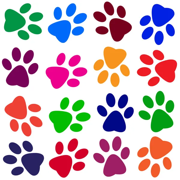 renkli hayvan parçaları