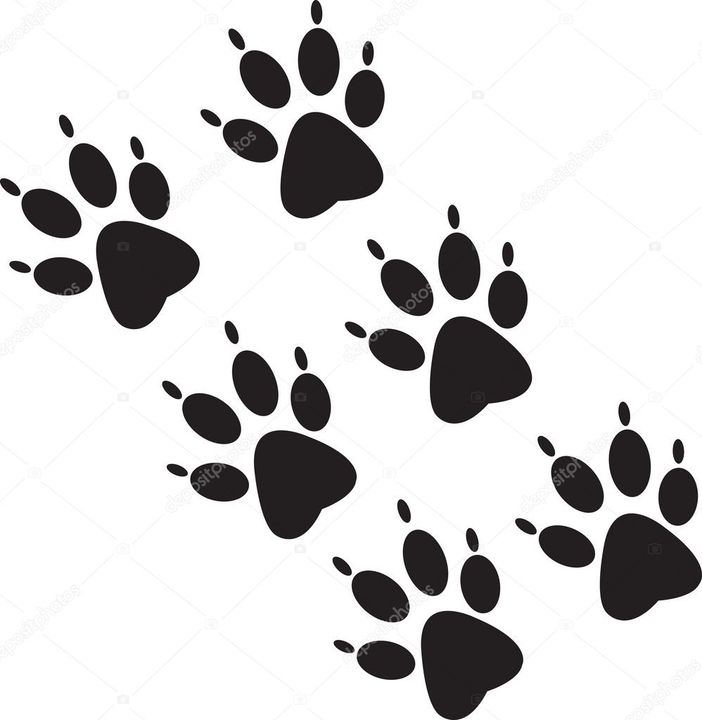 Black paw prints Stock Vector Image by ©natalipopova 36946491