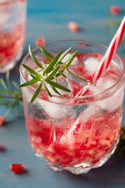 Buzlu nar suyu, soğuk ferahlatıcı ve detoks içeceği.