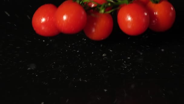 En gren körsbärstomater faller på ett blött svart bord på nära håll — Stockvideo
