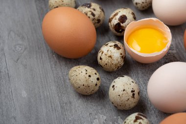 masada en iyi görünümü bıldırcın ve tavuk yumurta