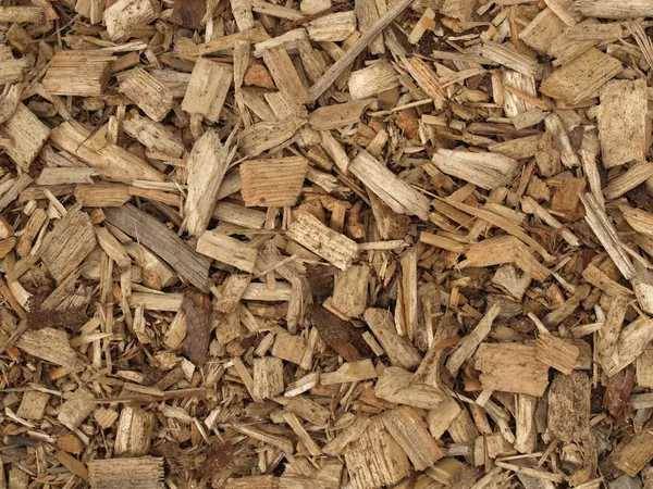 Wood chips — Stock Photo, Image