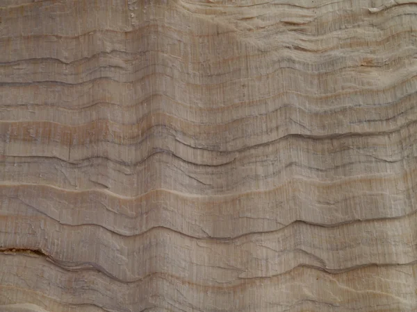 Tło drewna — Zdjęcie stockowe
