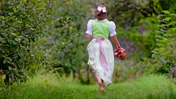 夕暮れ時の若い女性-伝統的な祭りのドレスはリンゴの庭でバスケットで走っています。有機的なライフスタイル、農業、レトロなスタイルのコンセプト. — ストック動画