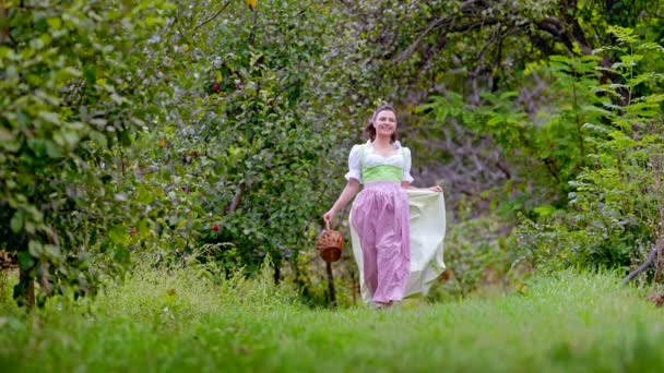 Mujer bonita en dirndl - vestido de fiesta tradicional camina con cesta en el jardín de manzanas. Estilo de vida de aldea orgánica, agricultura, cosecha, concepto de estilo retro. — Vídeos de Stock