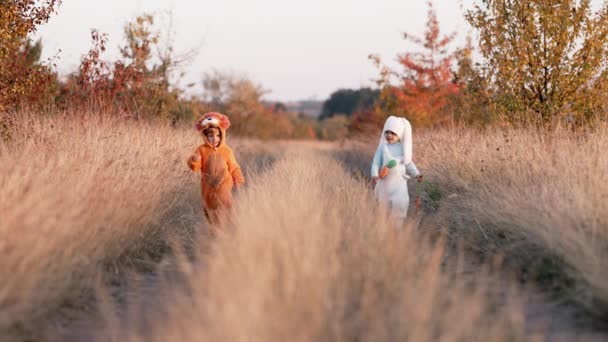 Niños lindos - chicos corriendo por la naturaleza entre la hierba de otoño amarillo. Bebés con león esponjoso y traje de conejito. Halloween, truco o trato. Familia, amigos, diversión, concepto de hermanos. — Vídeo de stock