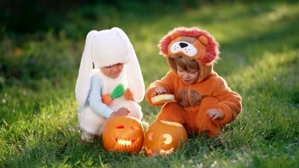 Niños lindos - niños pequeños sentados en la hierba cerca de calabazas talladas. Bebés con un león esponjoso y trajes de conejito. Halloween, truco o trato concepto. Símbolo de toda la víspera sagrada — Vídeo de stock