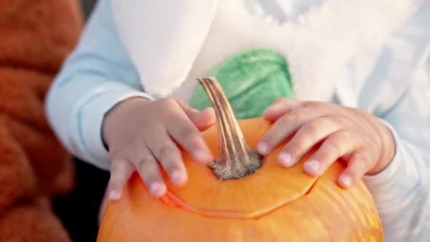 Child knocks with his hand on carved pumpkin. Small baby in white bunny costume. Halloween, trick or treat concept. Symbol of All Hallows Eve — Stock Video