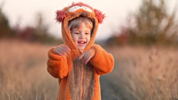 Lustiger Junge in orangefarbenem Kostüm, der Löwengesten macht, erschreckt dich auf gelbem Fallgras. Nettes glückliches Kleinkind mit aufrichtigem Lächeln auf herbstlichem Hintergrund. Halloween, Süßes oder Saures — Stockvideo