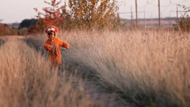 Niño divertido en traje de león esponjoso naranja corriendo a la cámara en la hierba de otoño amarillo. Lindo niño feliz caminando con una sonrisa sincera solo en el fondo de otoño. Halloween, truco o trato. — Vídeos de Stock