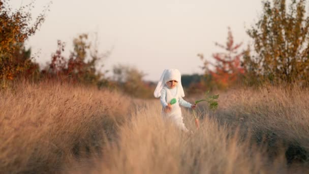 Adorável menino de 3 anos em traje de coelho branco com cenoura correndo para a câmera no fundo do outono. Bonito criança feliz, halloween, truque ou tratar conceito — Vídeo de Stock