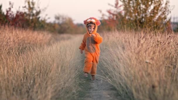 Precioso niño pequeño en traje de cachorro de león peludo naranja corre a la cámara en el fondo de hierba de otoño amarillo. Lindo niño feliz caminando con una sonrisa sincera solo en otoño. Halloween, truco o trato. — Vídeo de stock