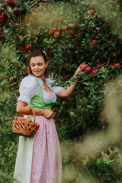 Bella donna raccogliendo frutti di mela rossa maturi nel giardino verde. Ragazza in abito contadino lungo carino. Stile di vita del villaggio biologico, agricoltura, occupazione del giardiniere — Foto Stock