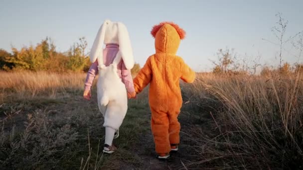 Słodkie dzieci bawiące się - chłopcy spacerujący po jesiennym tle natury. Mali przyjaciele w kostiumach lwa i królika. Halloween, cukierek albo psikus. Rodzina, szczęście, koncepcja braci. — Wideo stockowe