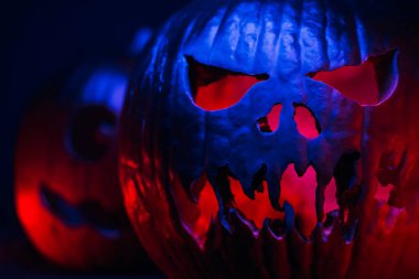 Turuncu çılgın balkabağı Jack-o-fenerin başı oyulmuş gözleri ve yanan ateşle gülümseyen bir sırıtışla. Cadılar Bayramı 'nın korkunç neon mavi ve kırmızı sembolü.