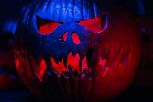 Fruktansvärd symbol för Halloween - Jack-o-lantern under neon färg ljus. Skrämmande leende pumpors huvud närbild. Glödande ansikte, trick eller godis. — Stockfoto