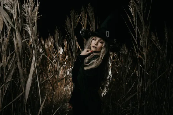 Bruxa loira de capa preta e chapéu posando no campo de juncos à noite. Halloween, conceito assustador de feiticeiro. Retrato incrível de mulher. — Fotografia de Stock