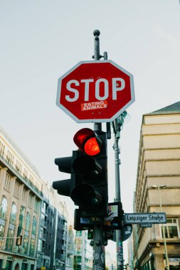 Ekim 2021, Berlin Almanya. Trafik kırmızı tabelası dur ve caddede hayvan etiketi ye. Vejetaryenlik, insanlık. Et yeme protestosu.