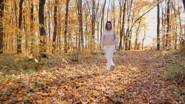 Porträt einer Frau, die allein in einem wunderschönen gelben Herbstpark spaziert. Goldene Blätter, sonniger Waldtag. Glückliches trendiges Mädchen freut sich, genießt Jugend, Freiheit. — Stockvideo