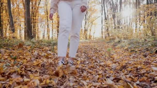 女性の足を閉じる。彼女は素晴らしい黄色の秋の公園で一人で歩き、カメラで葉を投げます。晴れた森の日。幸せな流行の女の子は喜び、若者を楽しみ、自由. — ストック動画
