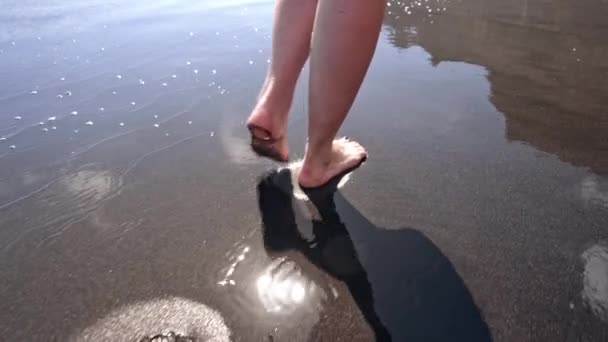 Ноги жінки, що ходять босоніж на вологому чорному вулканічному піщаному пляжі. Красиві ноги молодої дівчини біля моря на заході сонця або сході сонця. Повільний рух . — стокове відео